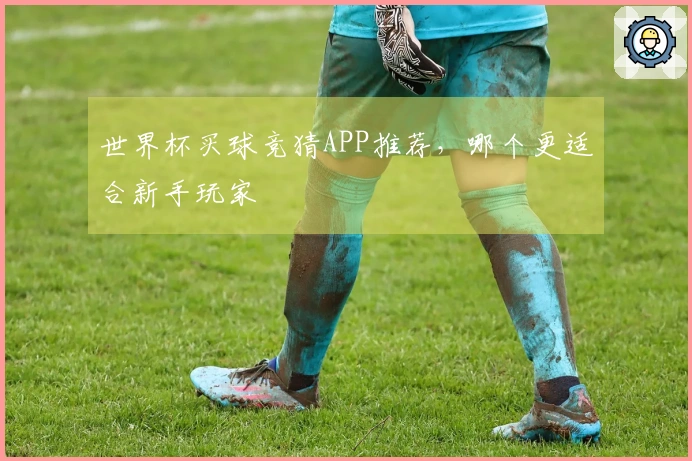 世界杯买球竞猜APP推荐，哪个更适合新手玩家