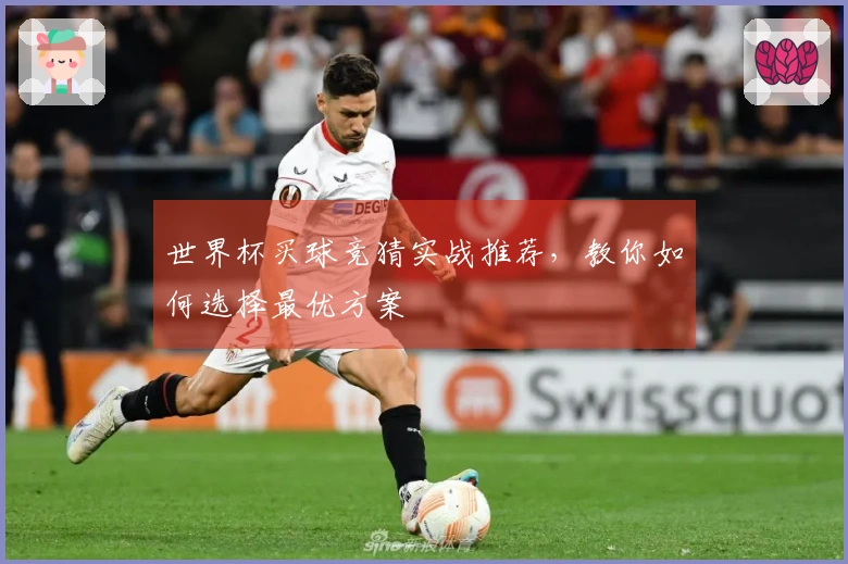 世界杯买球竞猜实战推荐，教你如何选择最优方案