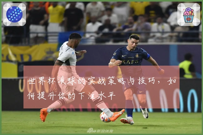 世界杯滚球的实战策略与技巧，如何提升你的下注水平