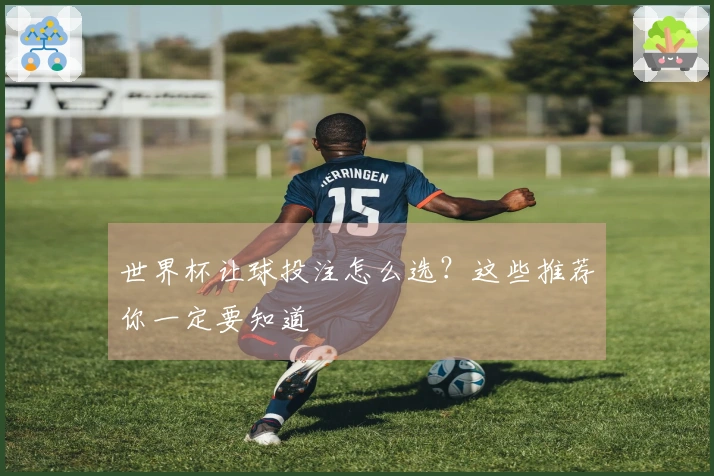 世界杯让球投注怎么选？这些推荐你一定要知道