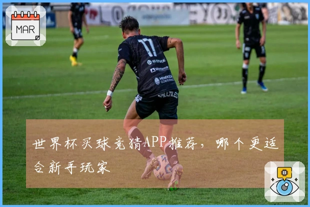 世界杯买球竞猜APP推荐，哪个更适合新手玩家