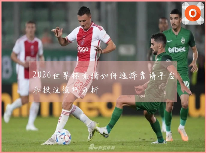 2026世界杯竞猜如何选择靠谱平台和投注技巧分析