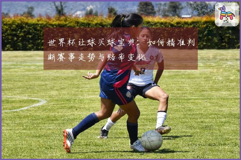 世界杯让球买球宝典：如何精准判断赛事走势与赔率变化