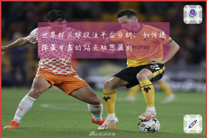 世界杯买球投注平台分析：如何选择最可靠的站点助您盈利