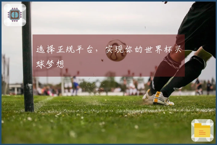 选择正规平台，实现你的世界杯买球梦想