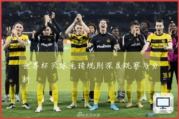 世界杯买球竞猜规则深度观察与分析