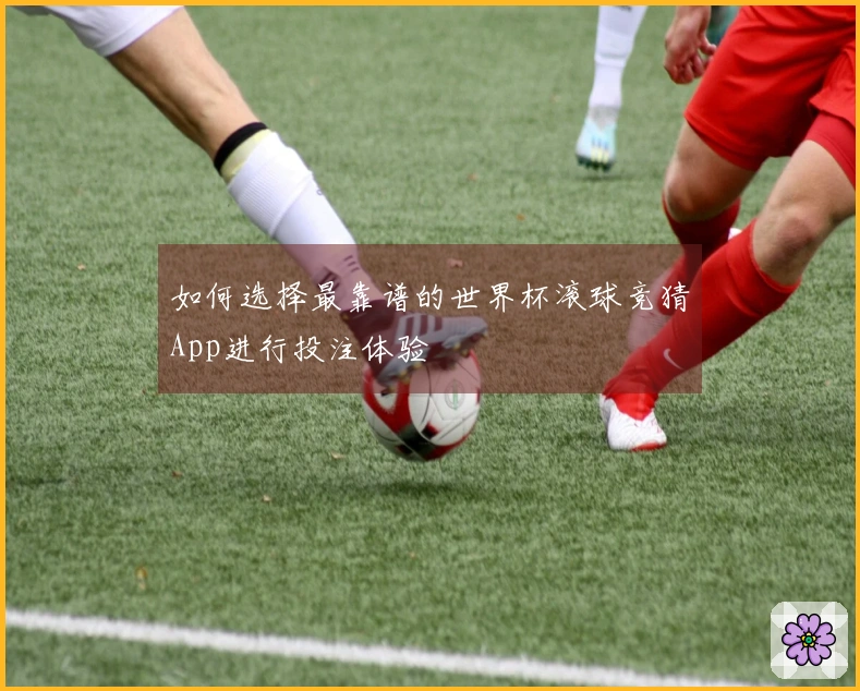 如何选择最靠谱的世界杯滚球竞猜App进行投注体验